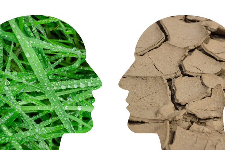 ENSZ-fórum: a zöld átmenet helyett a túlélés vált az elsődleges szemponttá