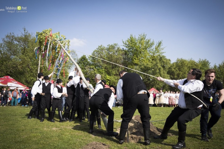 Tatabányai Majális Vastag Csabával