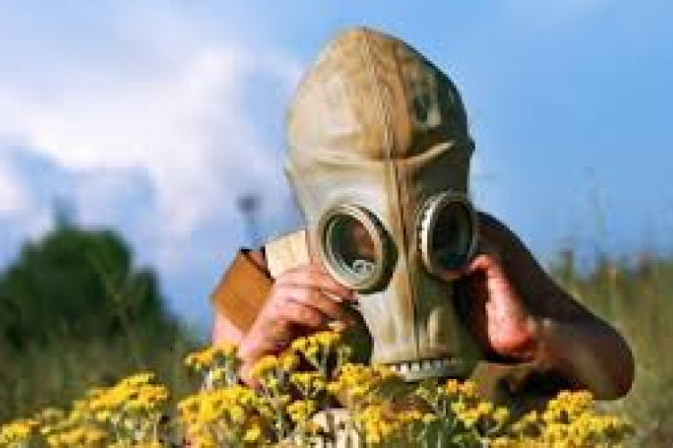 Pollen jelentés!