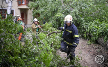 MABISZ: idén is milliárdos károk, jelentős pusztítás a viharszezon országos mérlege