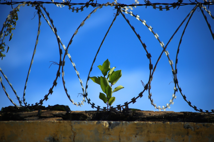 Elbarikádozta magát egy embercsempész rab a győri börtönben