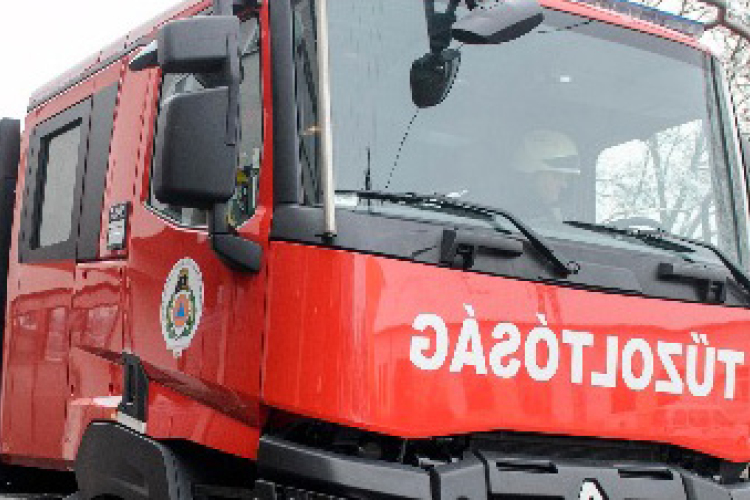 Autókra dőlt egy fa a fővárosban