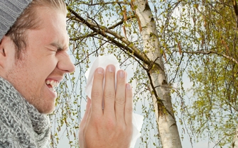 Pollen jelentés Tatabánya