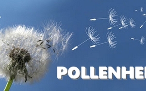 Pollen napló szolgáltatás